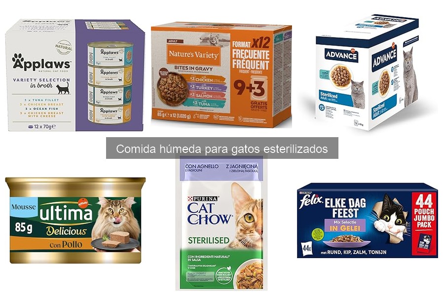 Recetas caseras de comida húmeda para gatos esterilizados