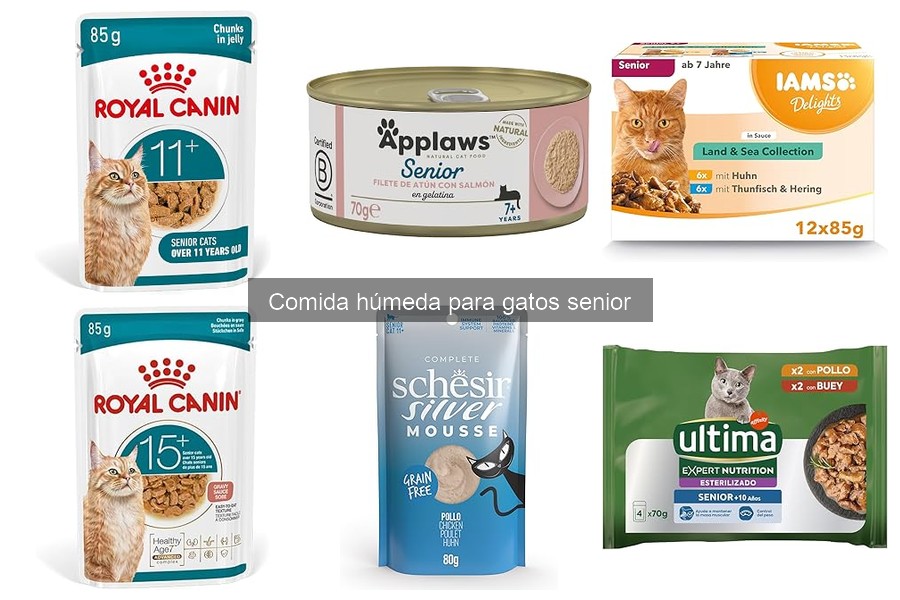 Recetas caseras de comida húmeda para gatos senior