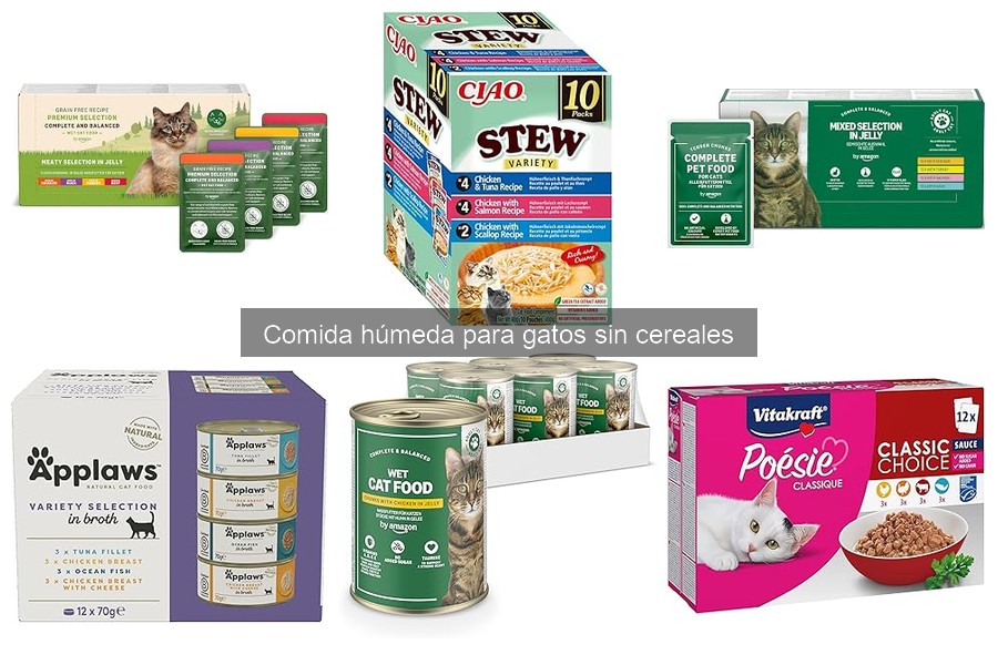 Recetas Caseras de Comida Húmeda para Gatos sin Cereales