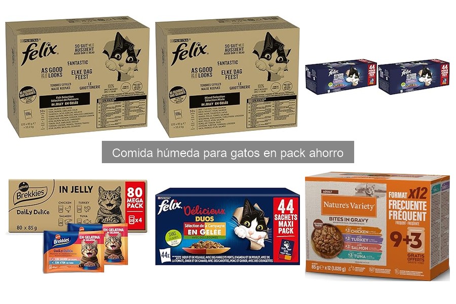 Recetas Caseras de Comida Húmeda para Gatos
