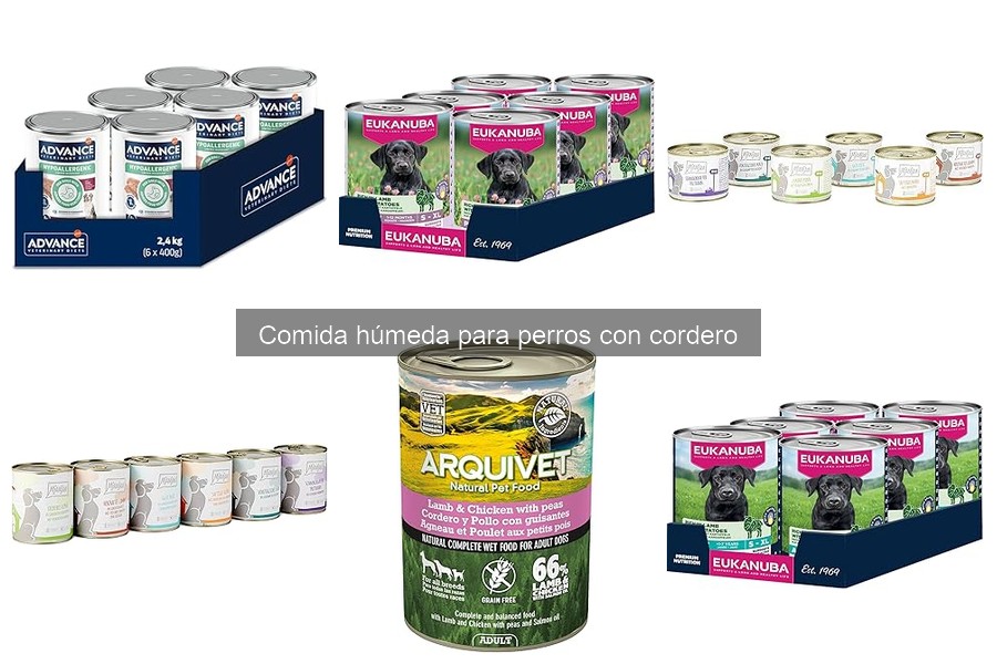 Recetas caseras de comida húmeda para perros con cordero