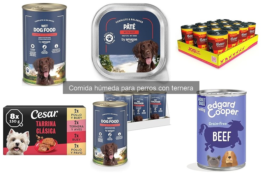 Recetas Caseras de Comida Húmeda para Perros con Ternera