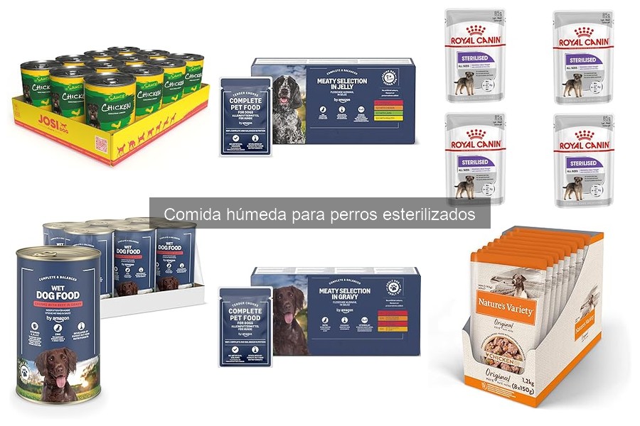 Recetas Caseras de Comida Húmeda para Perros Esterilizados