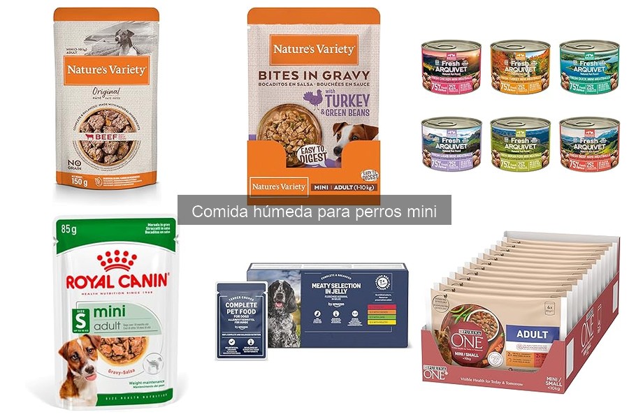 Recetas caseras de comida húmeda para perros mini