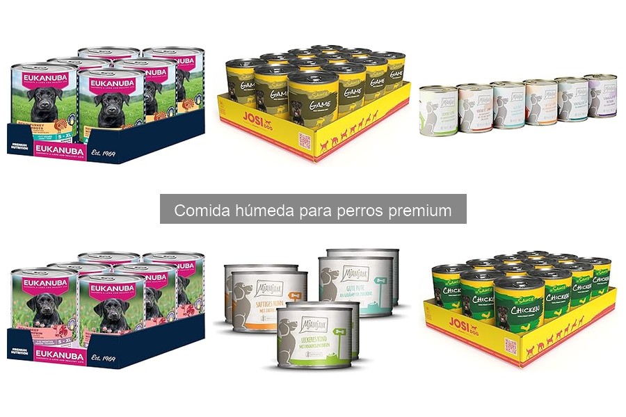 Recetas Caseras de Comida Húmeda para Perros Premium