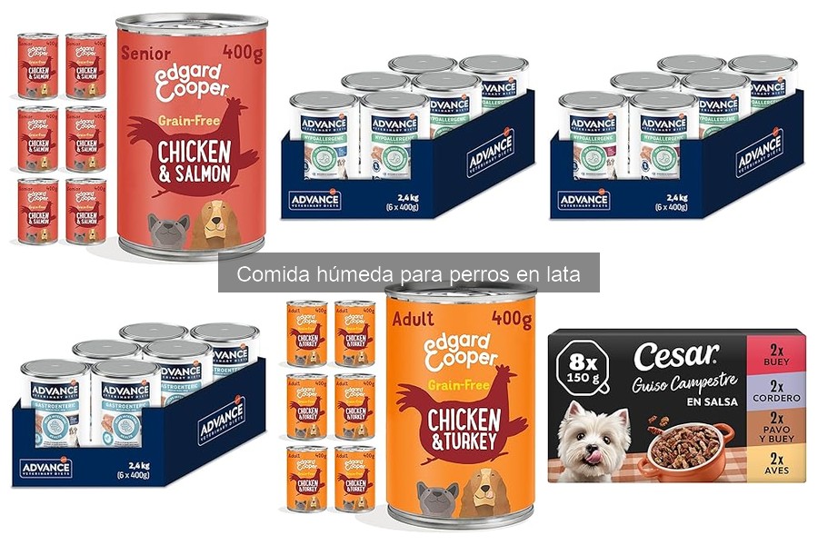 Recetas Caseras de Comida Húmeda para Perros Saludables