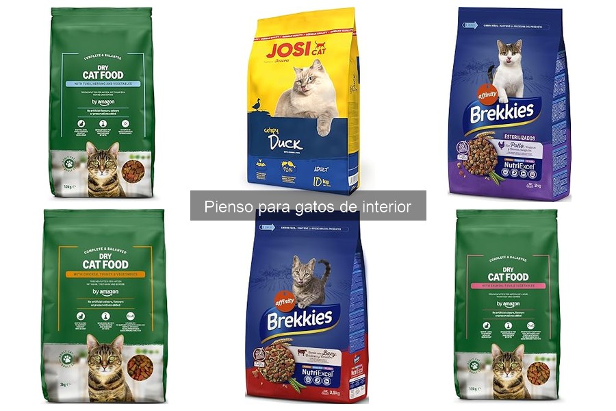 Recetas Caseras de Pienso para Gatos de Interior
