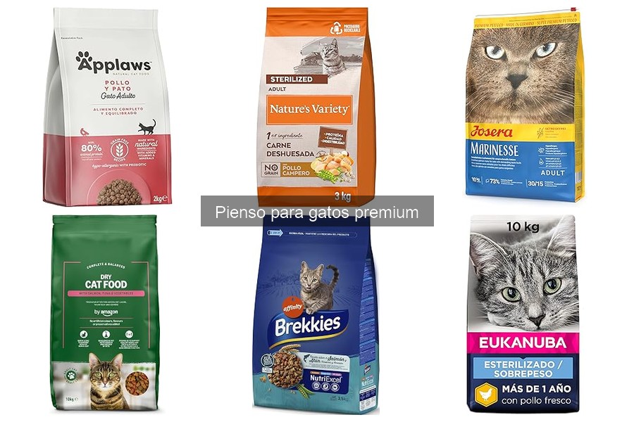 Recetas Caseras de Pienso para Gatos Premium
