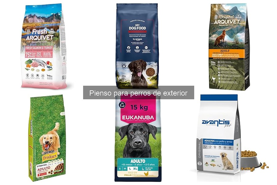 Recetas Caseras de Pienso para Perros de Exterior