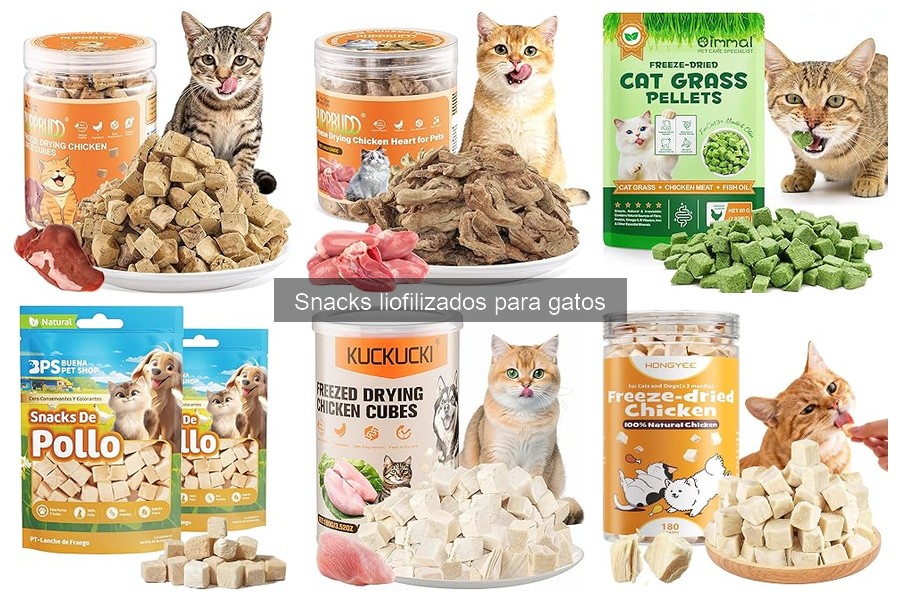 Recetas Caseras de Snacks Liofilizados para Gatos