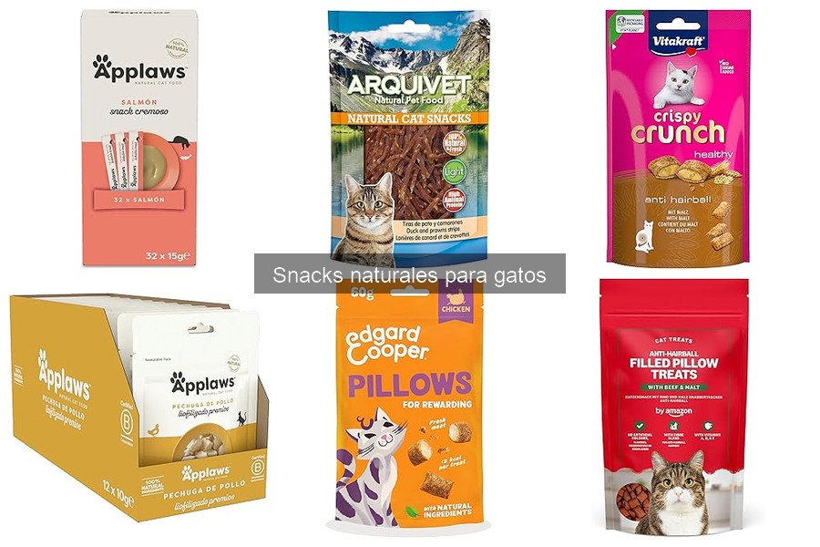 Recetas Caseras de Snacks Naturales para Gatos