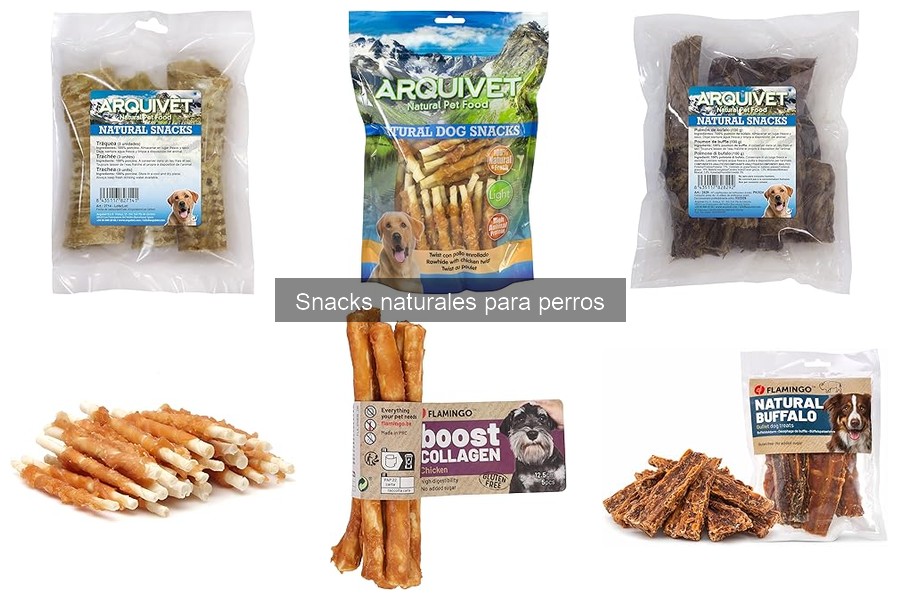 Recetas Caseras de Snacks Naturales para Perros Fáciles