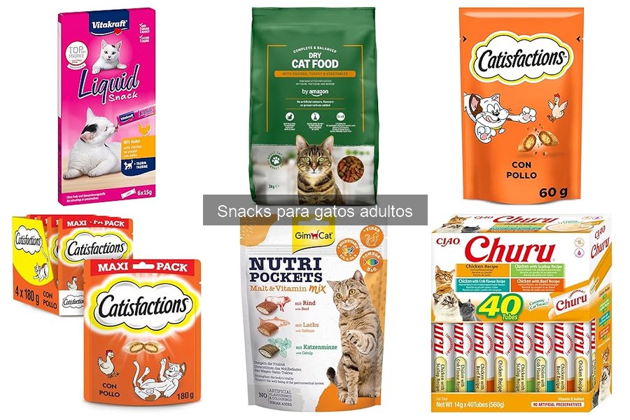 Recetas Caseras de Snacks para Gatos Adultos