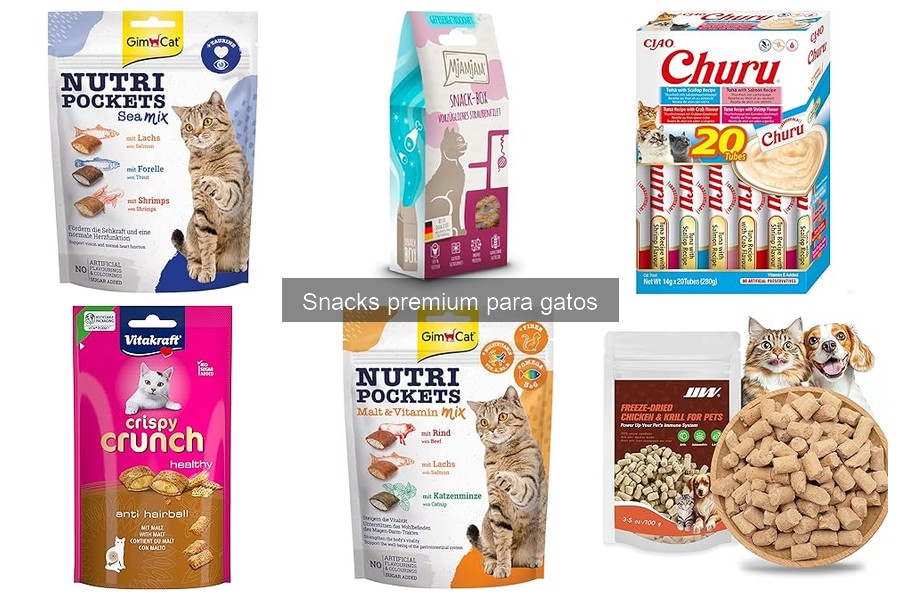 Recetas Caseras de Snacks Premium para Gatos Saludables