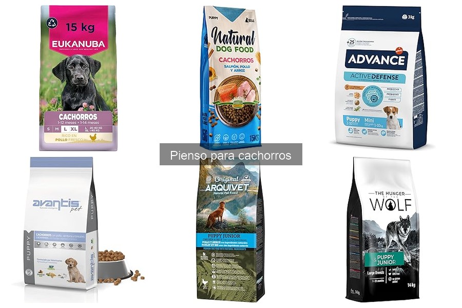 Recetas caseras para cachorros: alternativas al pienso