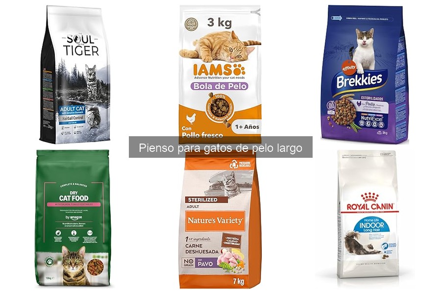 Recetas caseras para gatos de pelo largo: ¡saludables y fáciles!