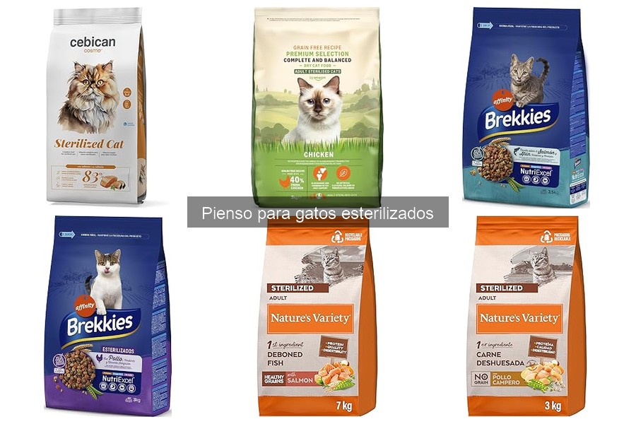 Recetas caseras para gatos esterilizados: ¡Delicias saludables!