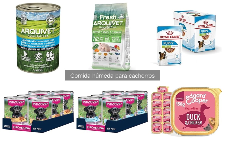 Recetas de Comida Húmeda Casera para Cachorros