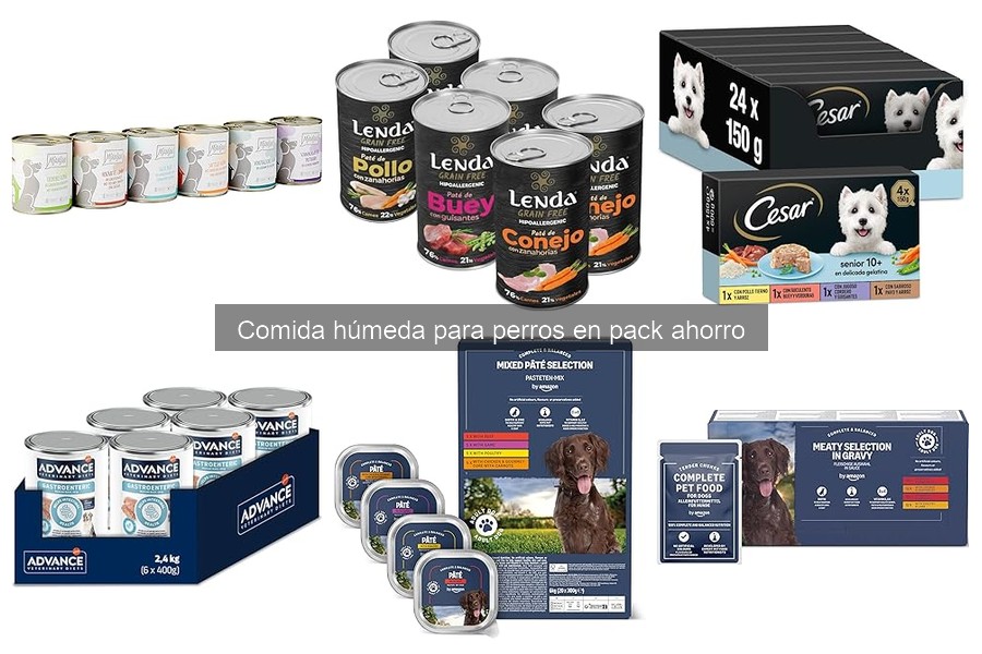 Recetas de comida húmeda casera para perros saludables