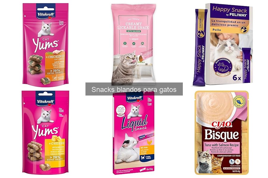 Recetas de Snacks Blandos Caseros para Gatos Saludables