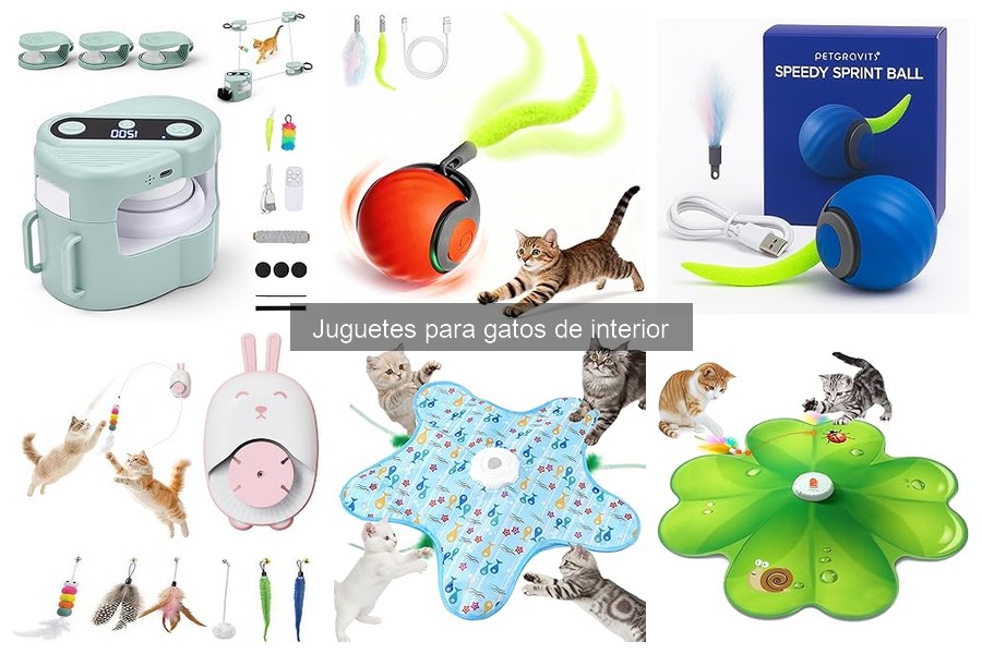 Reseñas de Juguetes para Gatos de Interior en Amazon