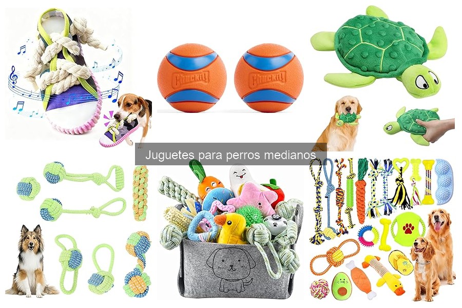 Reseñas de juguetes para perros medianos: guías y opiniones