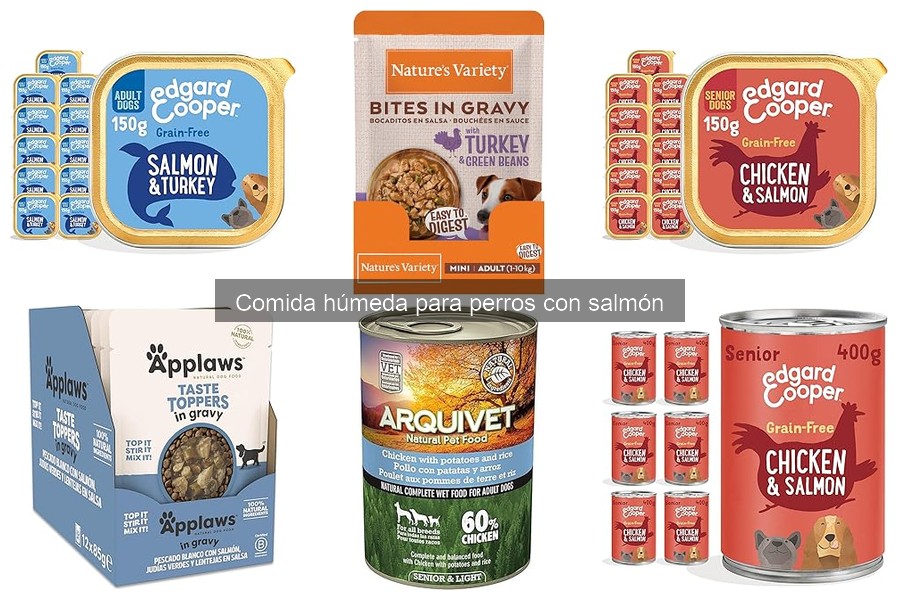 Seguridad de la comida húmeda para perros con salmón