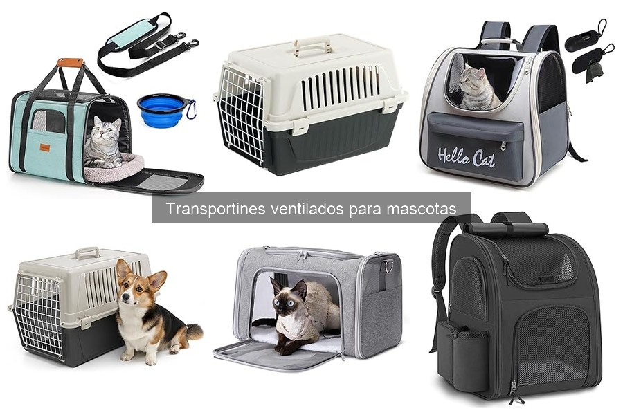 Seguridad de los transportines ventilados para mascotas