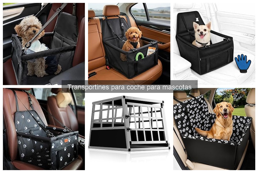 Seguridad de Transportines para Coche: ¿Son Fiables?