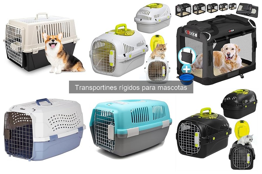 Seguridad en transportines rígidos para viajes en coche