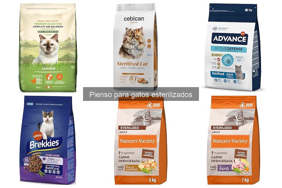 Señales de que tu gato esterilizado no tolera su pienso