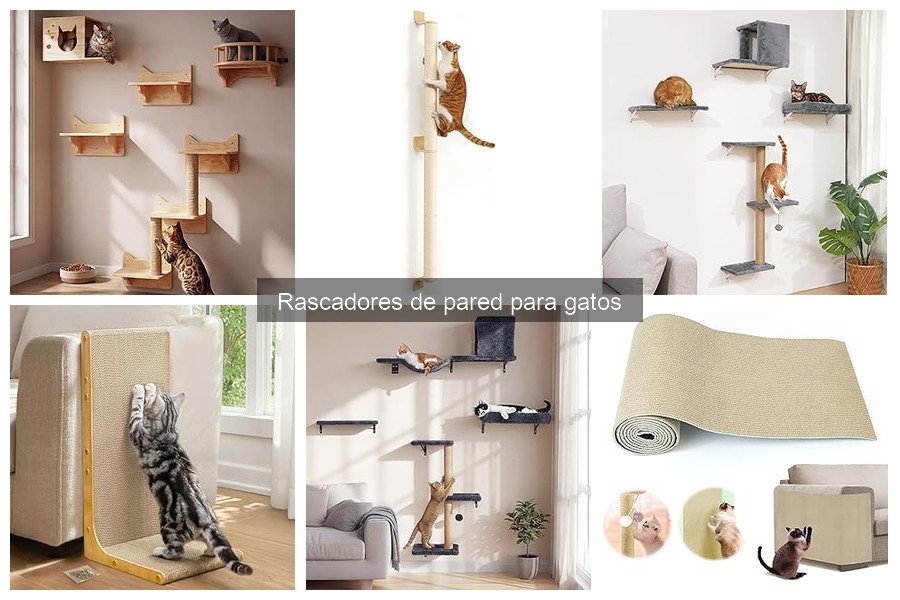 Señales de que tu gato necesita un rascador de pared