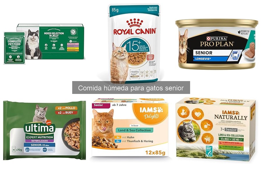 Señales de que tu gato senior no disfruta su comida húmeda