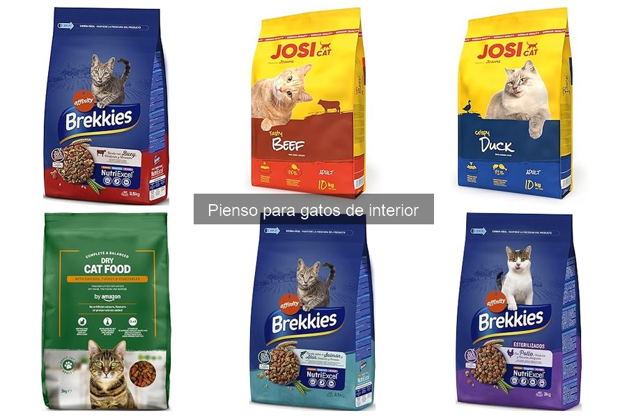 Signos de que el pienso para gatos no es adecuado
