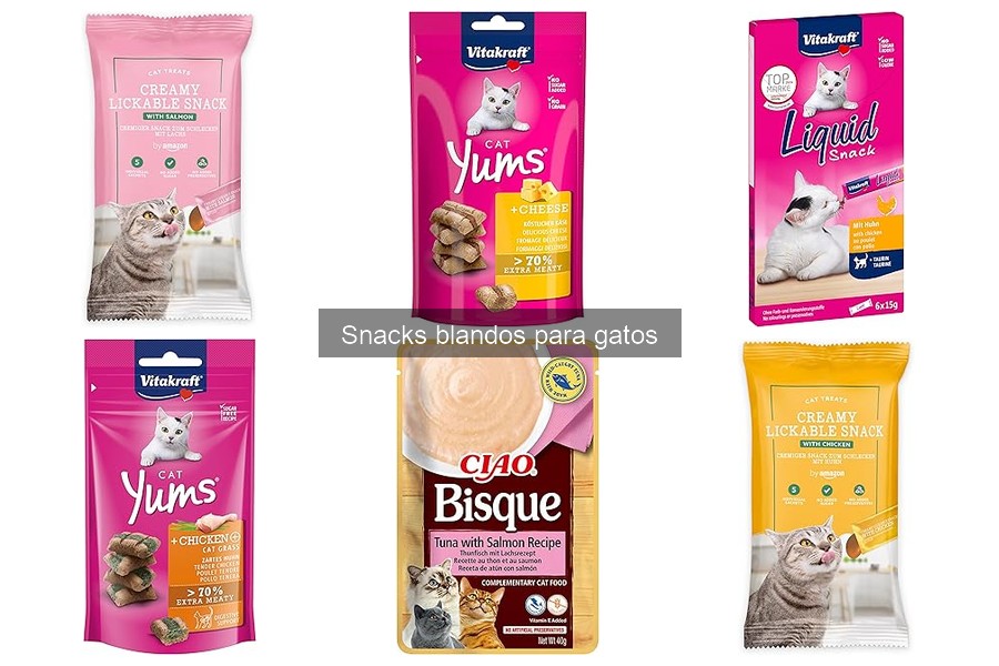 Snack blando vs. seco para gatos: ¿cuál elegir?