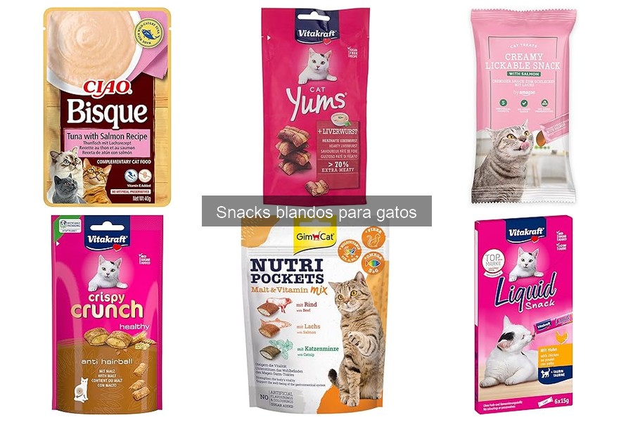 Snacks blandos para gatos: impacto en su salud
