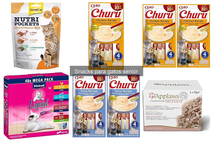 Snacks caseros para gatos senior: recetas y consejos