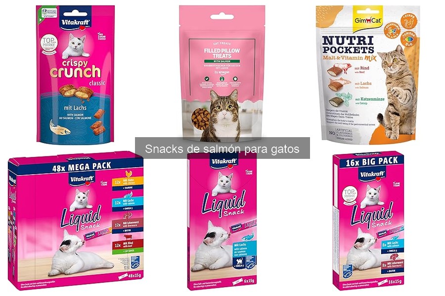 Snacks de salmón para gatos alérgicos: opciones seguras