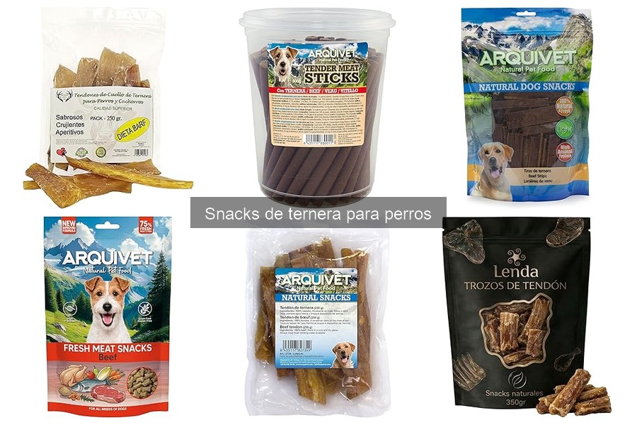 Snacks de Ternera para Perros Senior: Mejores Opciones