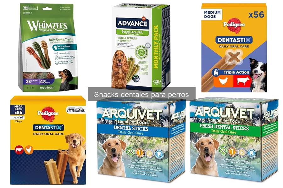 Snacks dentales para perros mayores: ¿son seguros y efectivos?