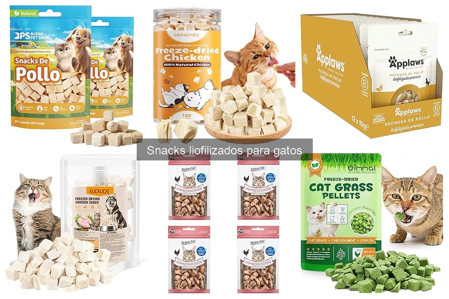 Snacks liofilizados para gatos: ¿Son seguros para alérgicos?