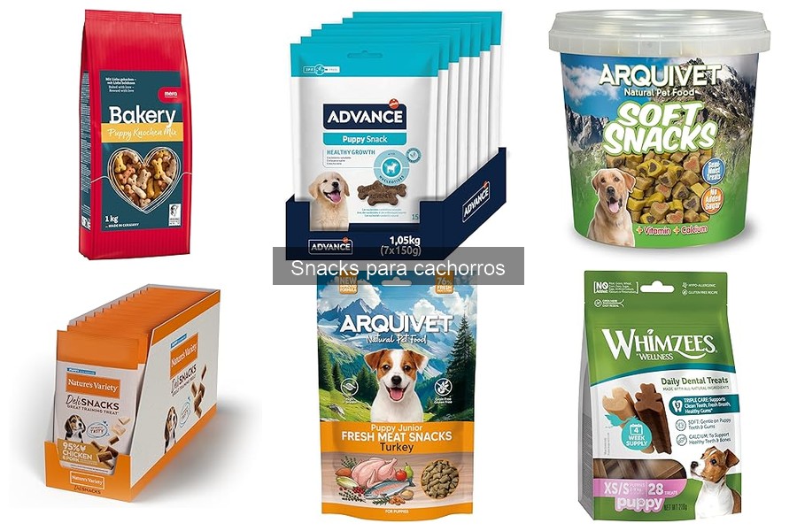 Snacks para cachorros: qué son y sus beneficios