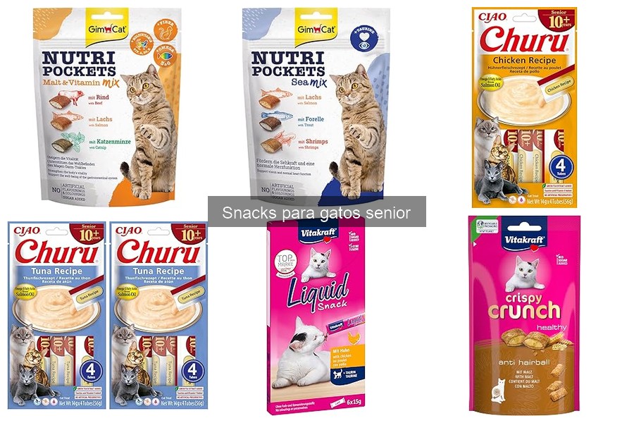 Snacks para gatos senior: características y beneficios