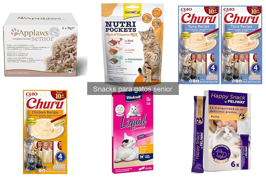 Snacks para gatos senior: ¿cuándo evitarlos?