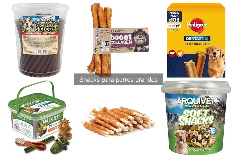 Snacks para perros grandes con alergias: opciones seguras