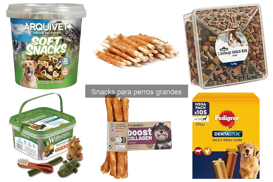 Snacks saludables para perros grandes que ayudan a perder peso