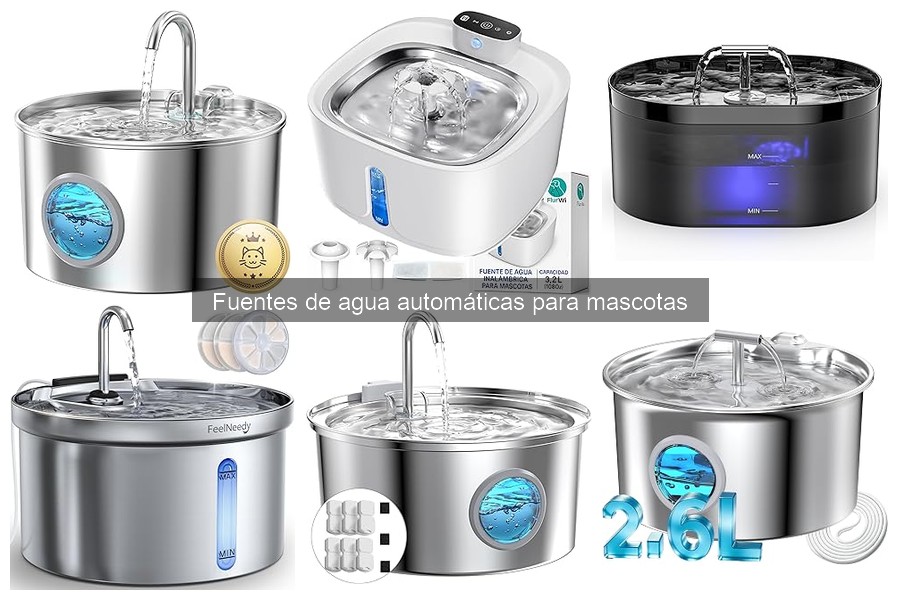 Soluciona Problemas Comunes de Fuentes de Agua Automáticas