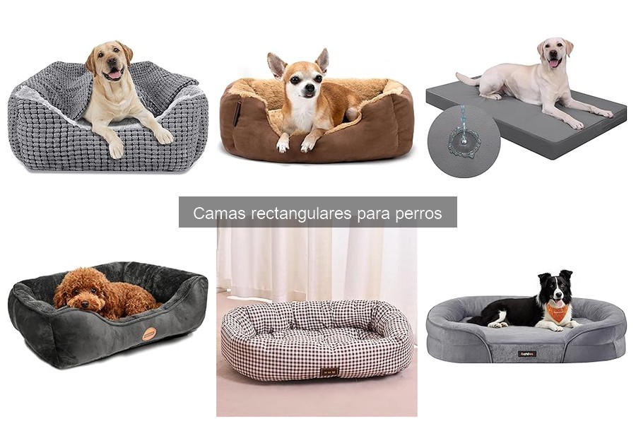 Soluciones para perros que no usan su cama rectangular