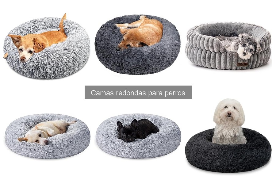 ¿Son adecuadas las camas redondas para perros grandes?