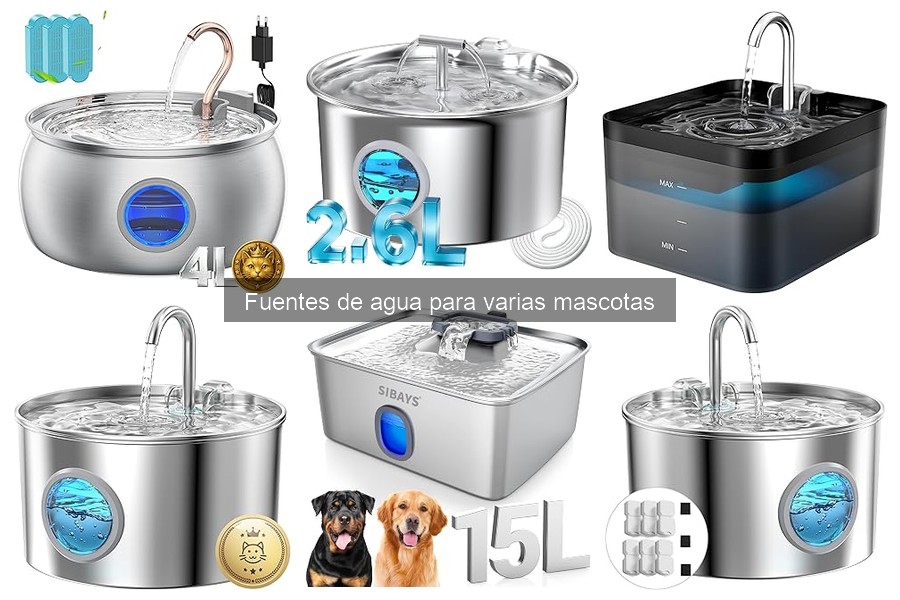 ¿Son necesarias las fuentes de agua para mascotas?
